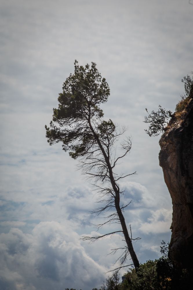 Photograph by Vasily Prokhorov