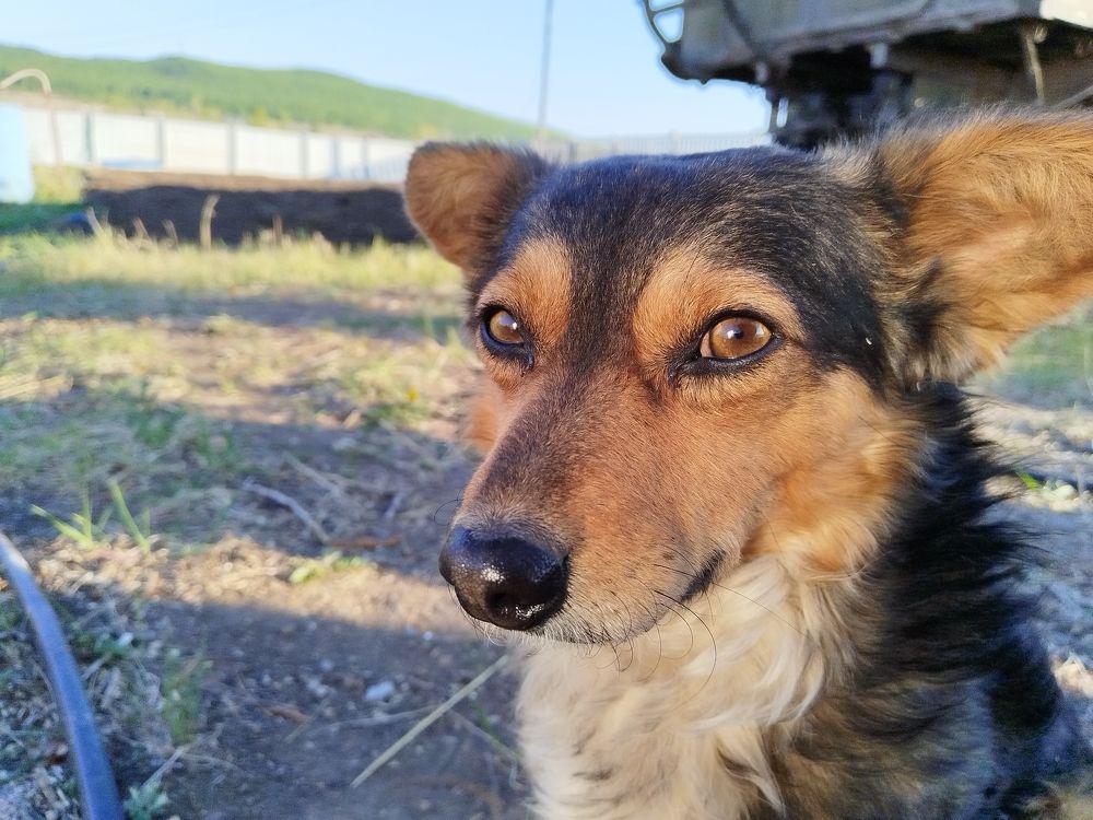 Photo #10656457