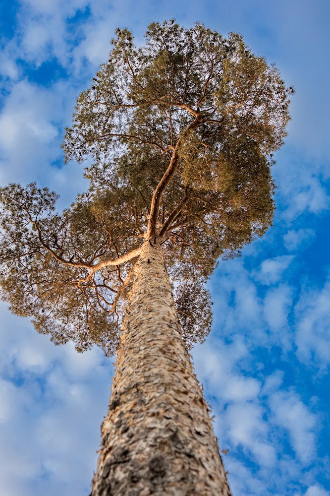 Photograph by Воробьёв Константин