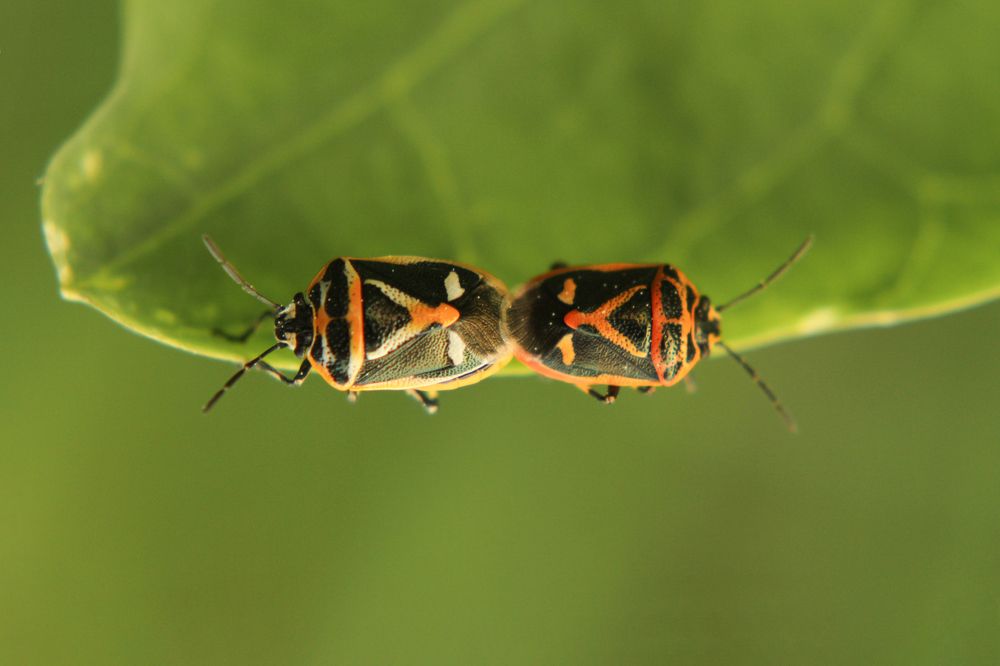 Photograph by Aleksey Maevskiy