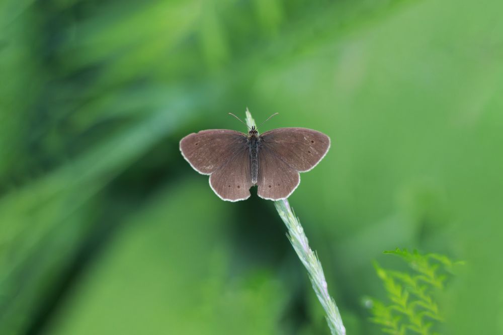 Photograph by Aleksey Maevskiy