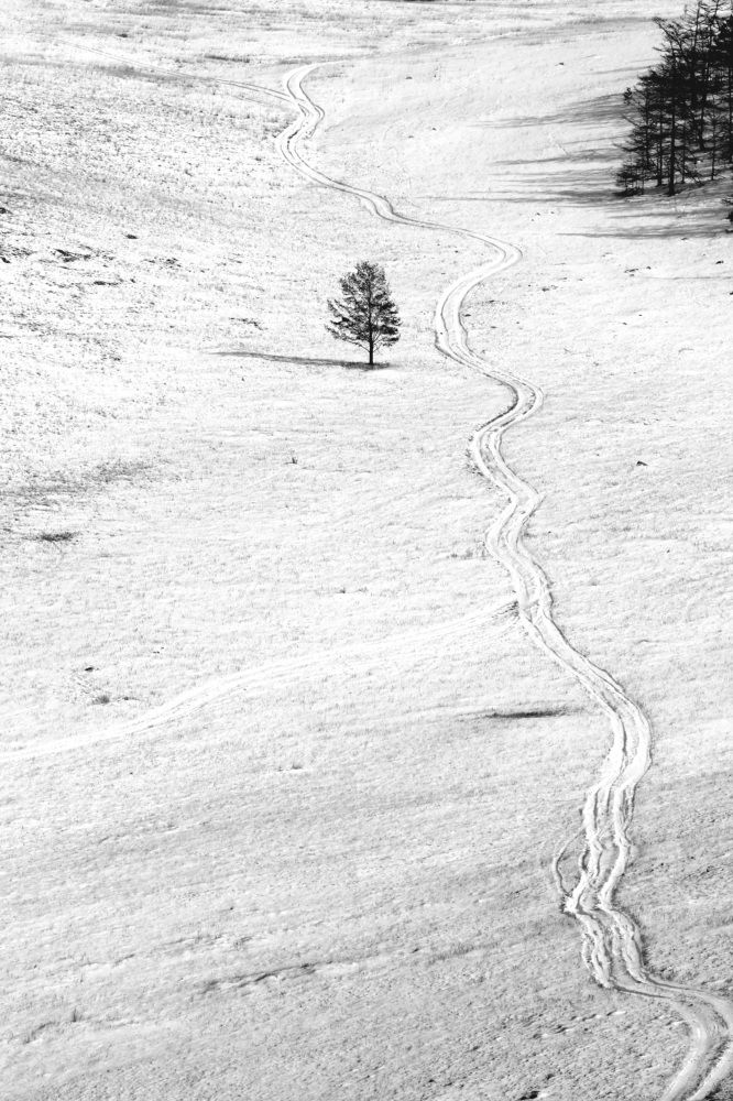 Фотография автора Колосова Елена