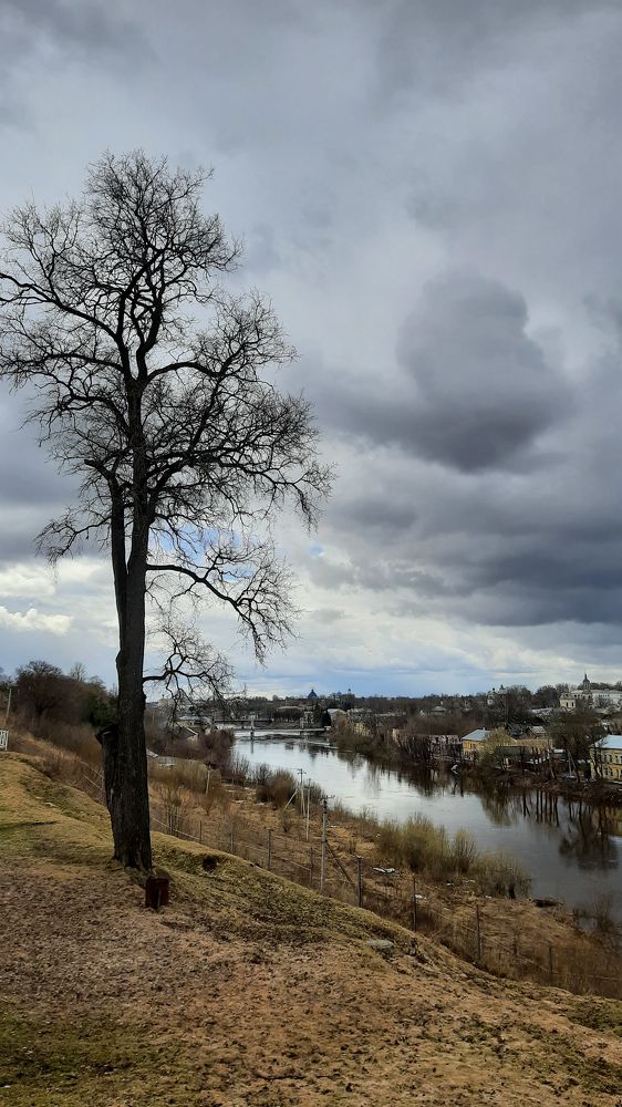 Photograph by Ольга Новоселова