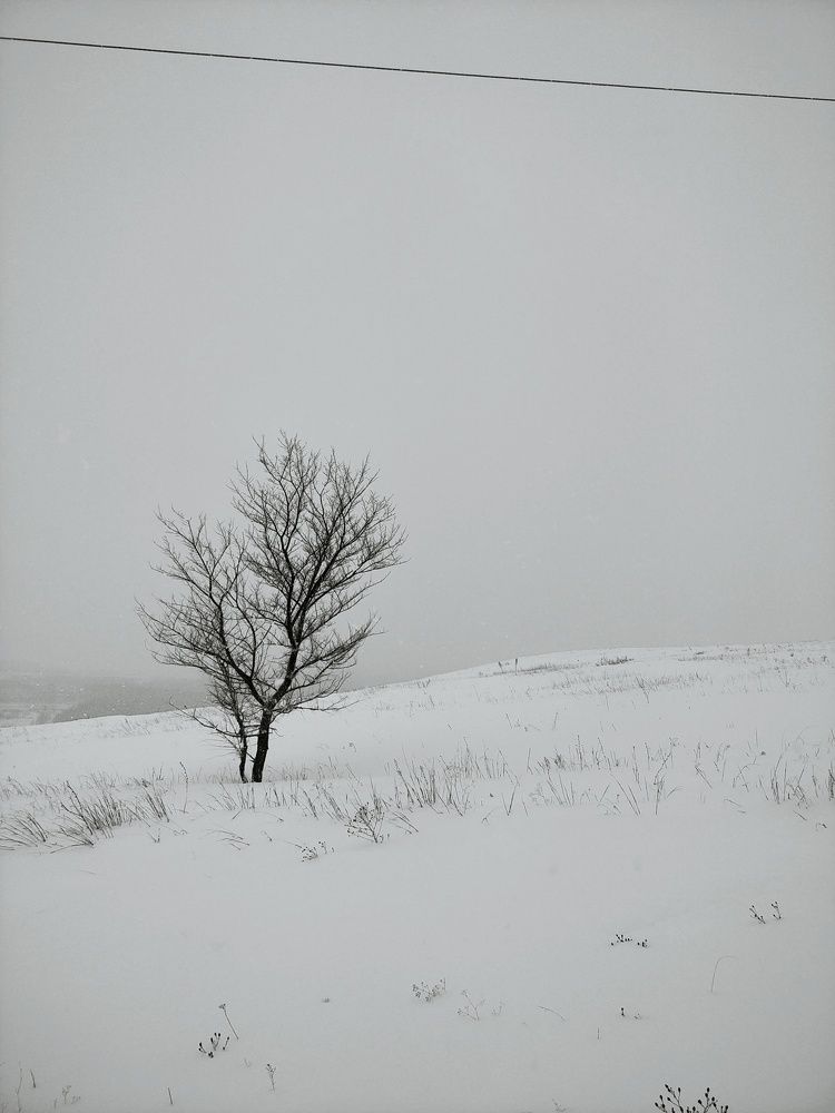 Photograph by Маннанова Ляйсан