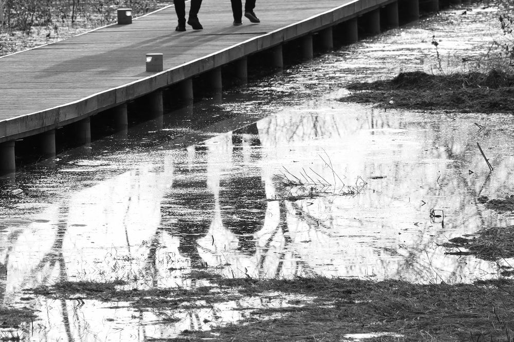 Фотография автора Колосова Елена