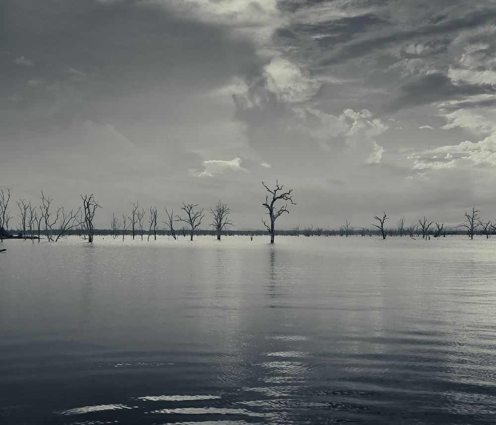 Photograph by Григорий Иванов