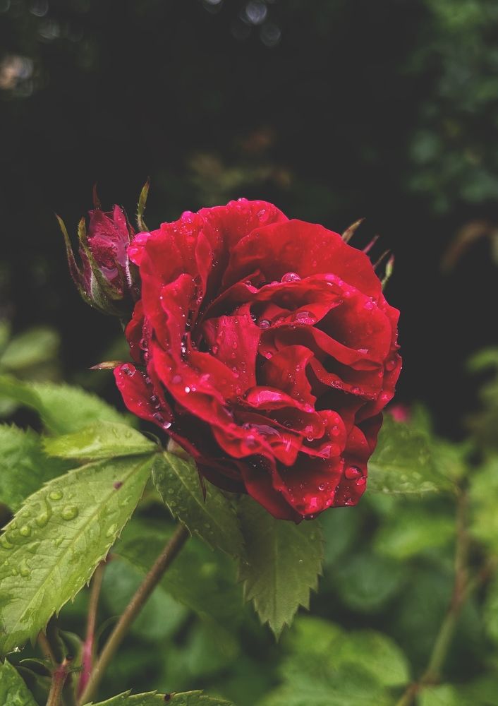 Photograph by Татьяна