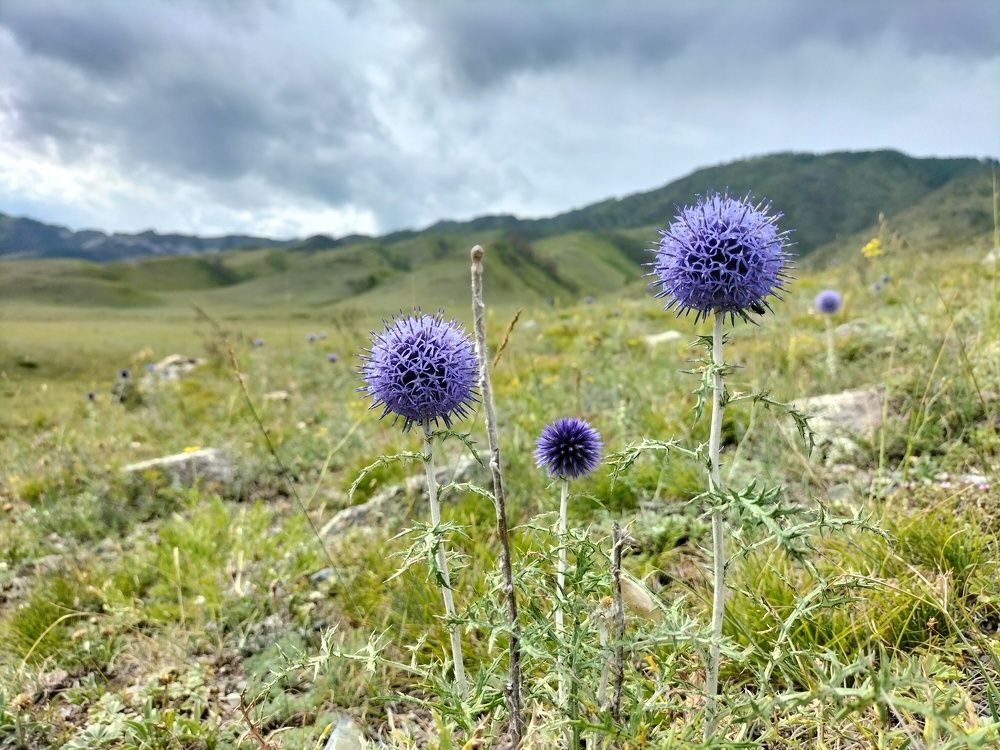 Фотография автора Maksim Gafner
