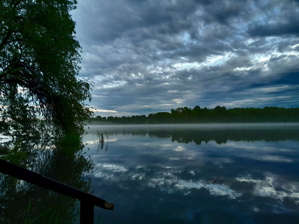 Photo #10656607