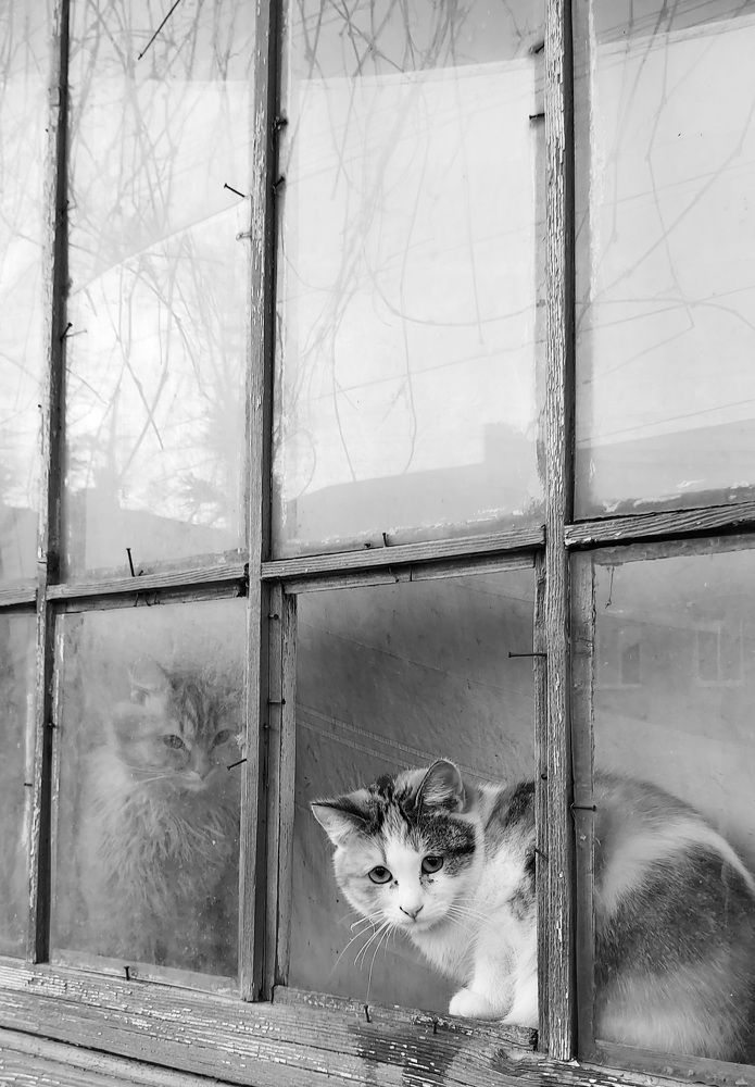 Photograph by Олег Архипов