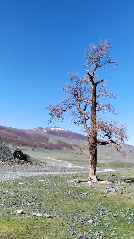 Photograph by Юлия Холомцева