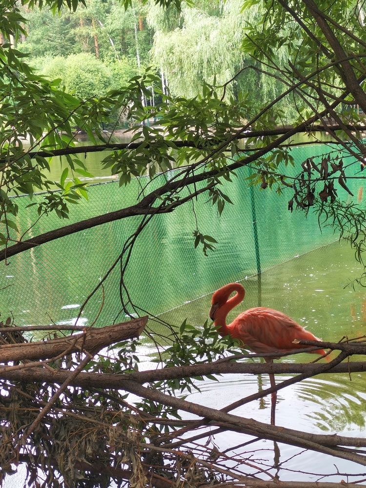 Фотография автора Maksim Gafner