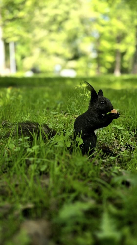 Photograph by Анна Семенова