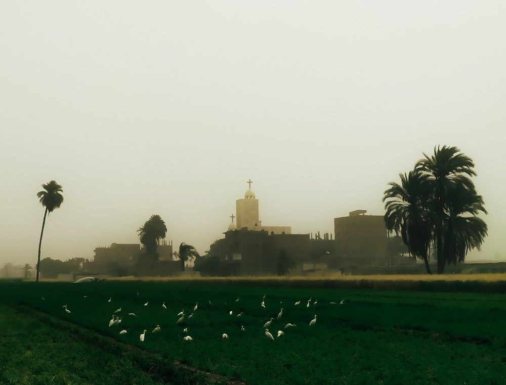 Photograph by Adel Sami