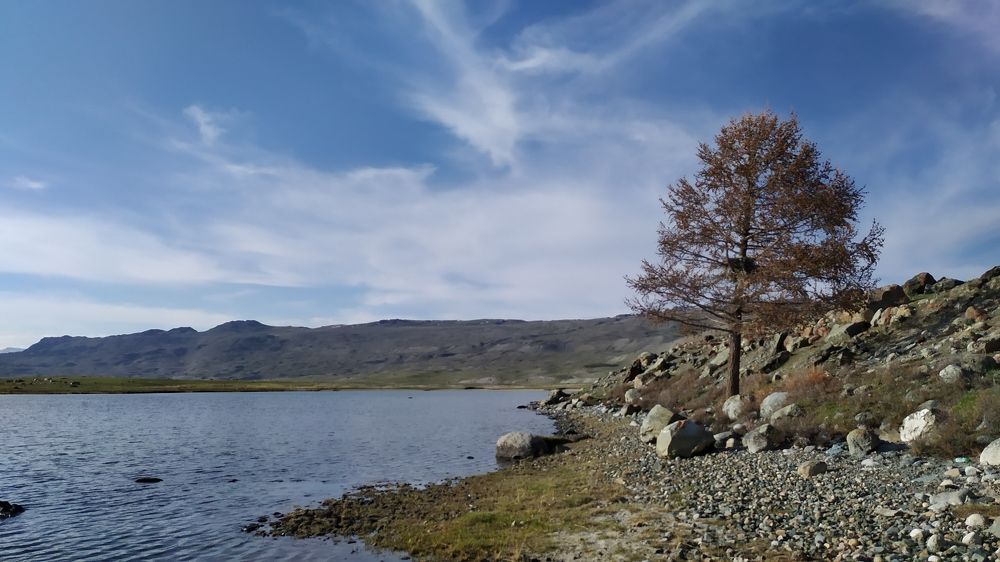 Photograph by Юлия Холомцева