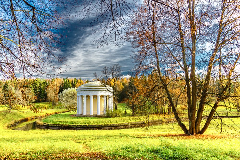 Липа у реки.