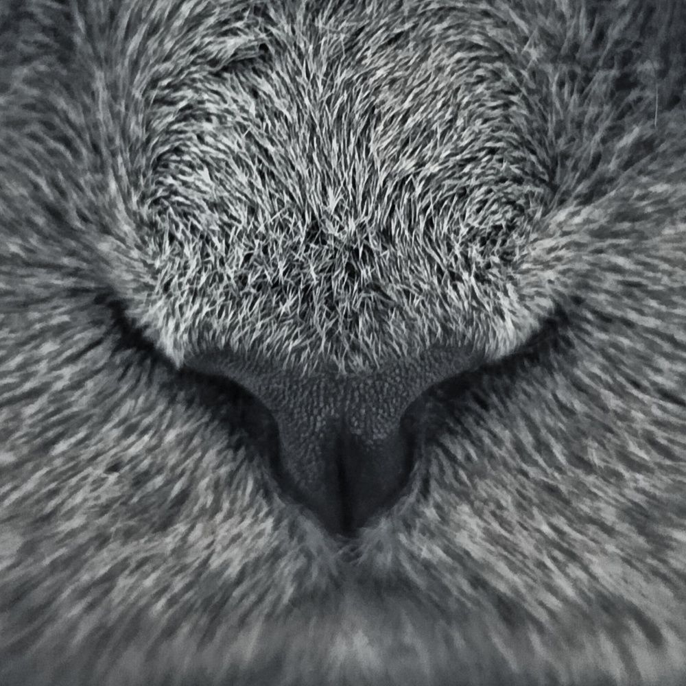 Фотография автора Максим Гафнер