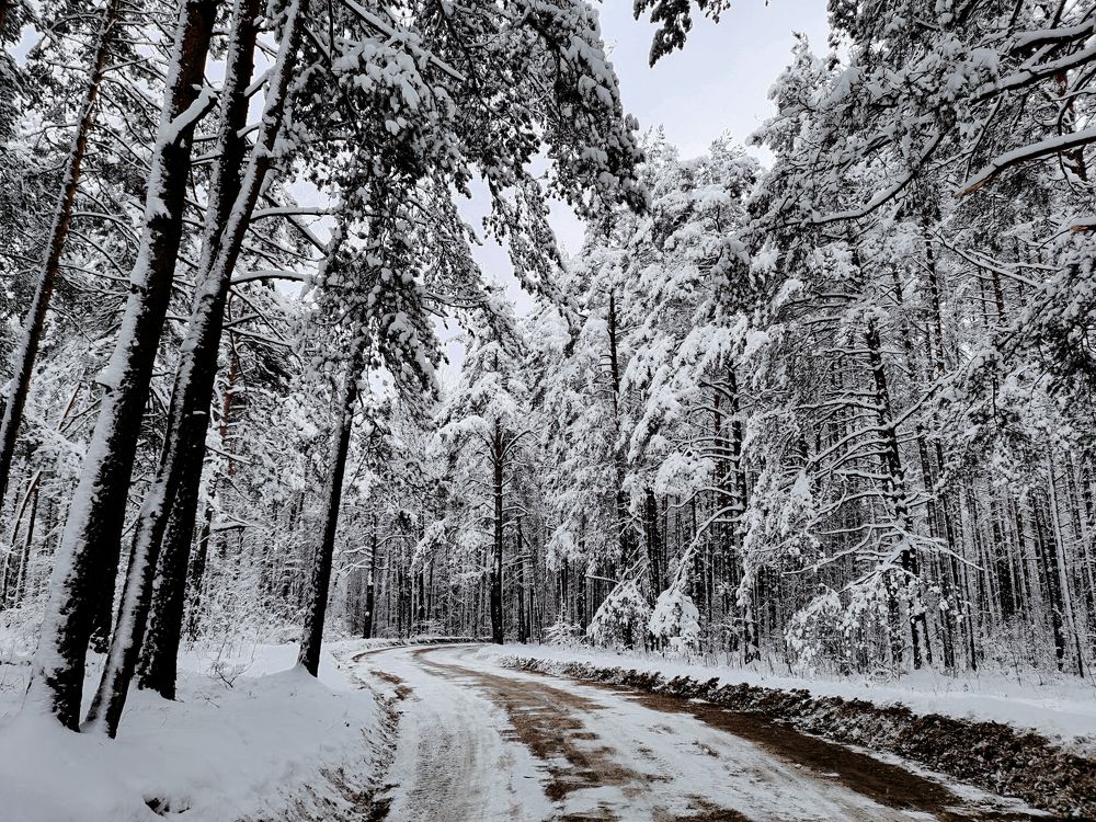 Photograph by Анна Сойтту