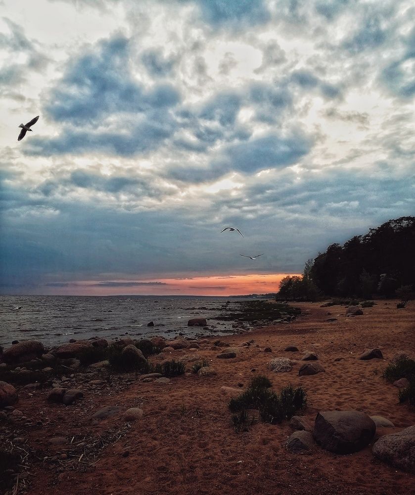 Photograph by Наталья Кондрашова