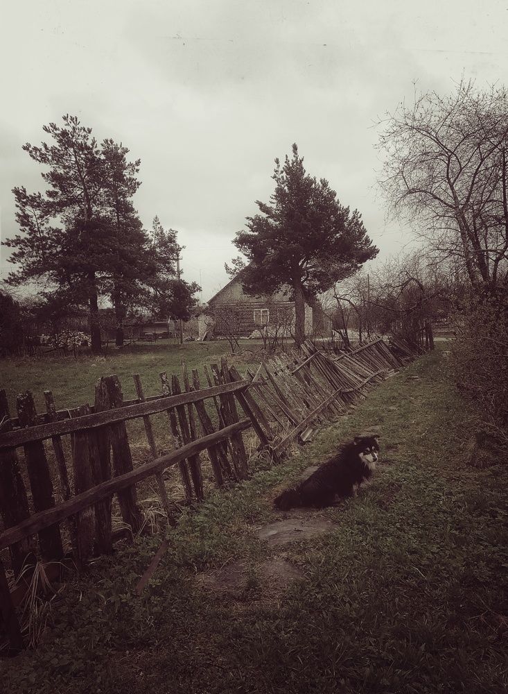 Photo #10656742