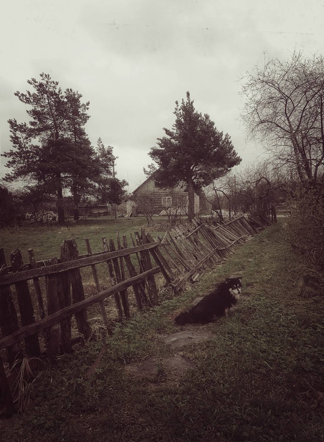 Photo #10656742