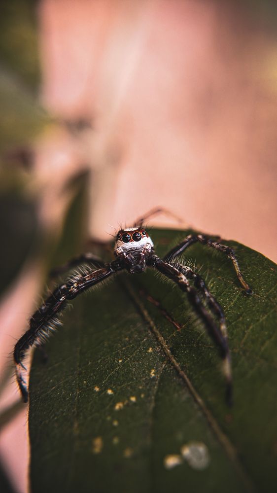 Photograph by Ankan De