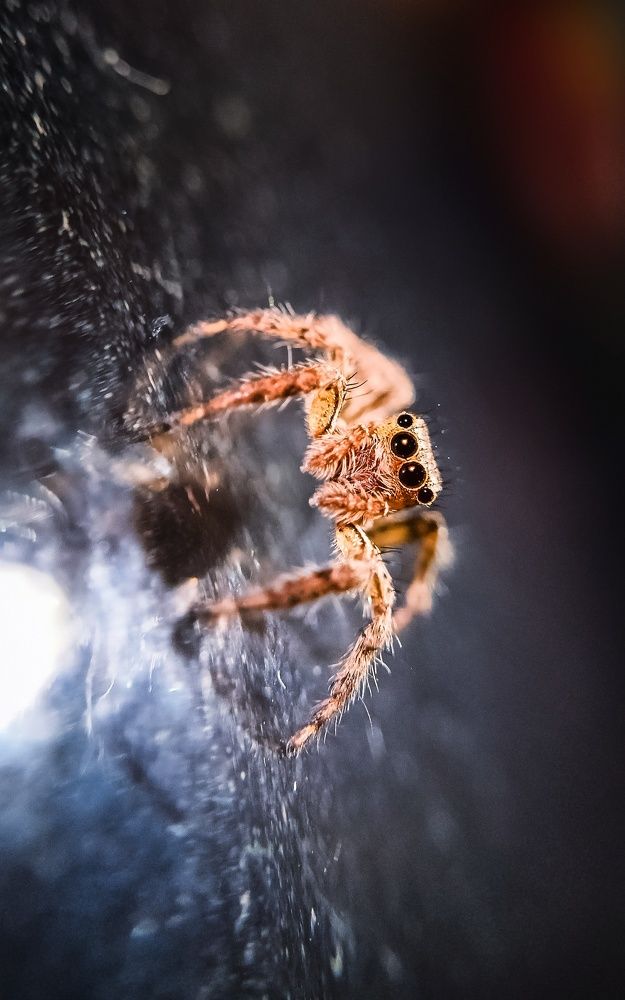 Photograph by Ankan De