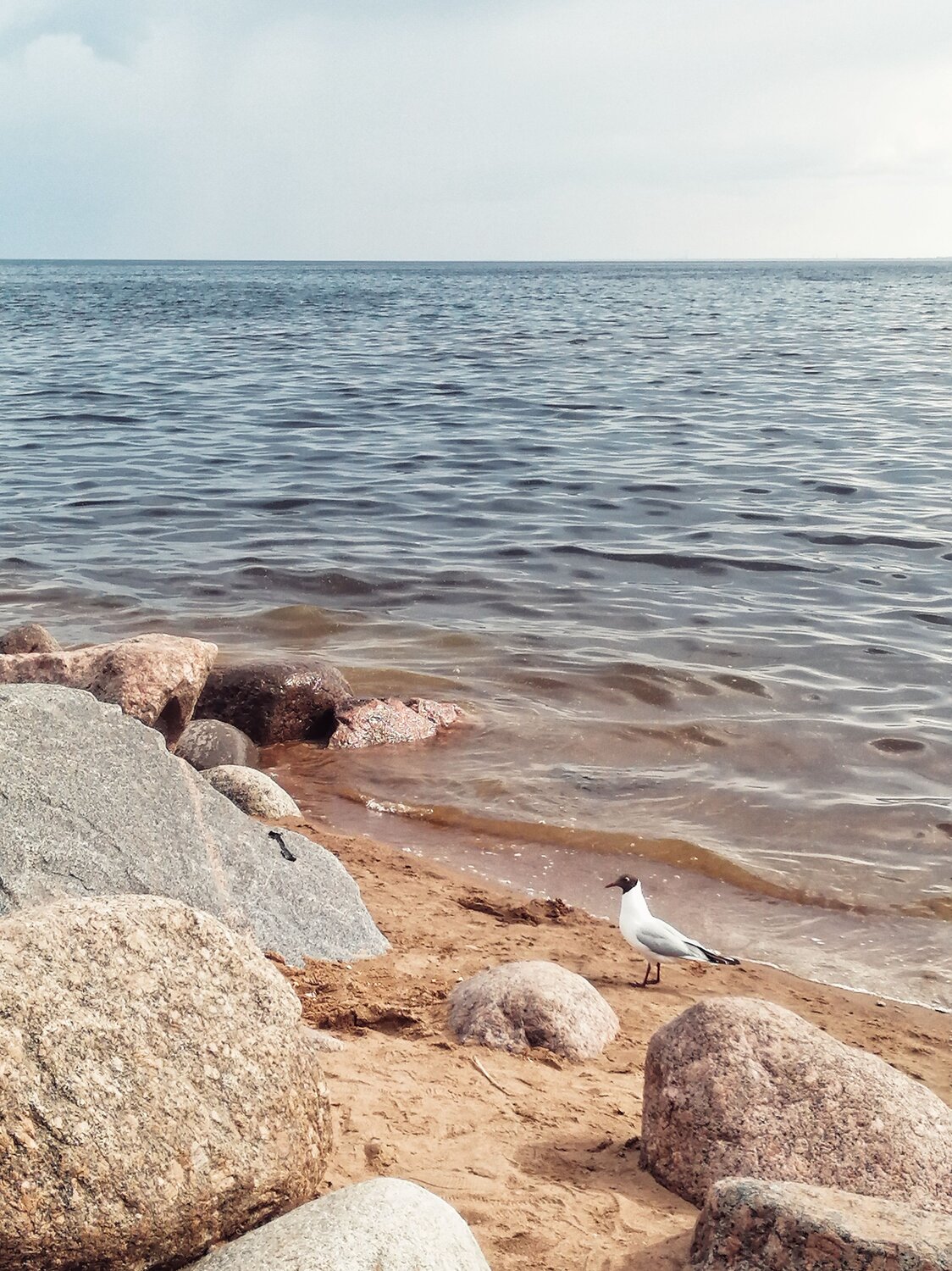 Photo #10656750