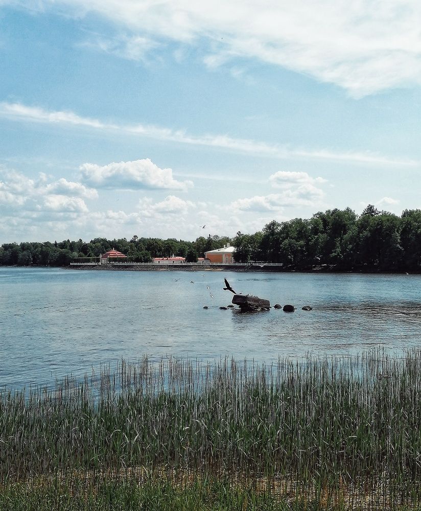Photograph by Наталья Кондрашова
