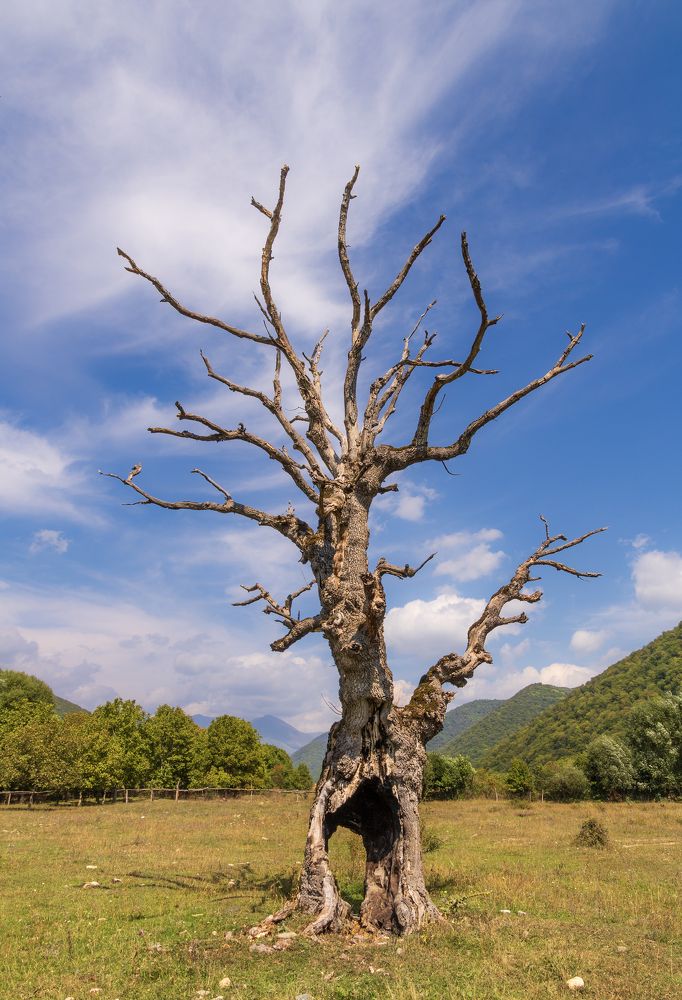 Photograph by Alex Kalpus