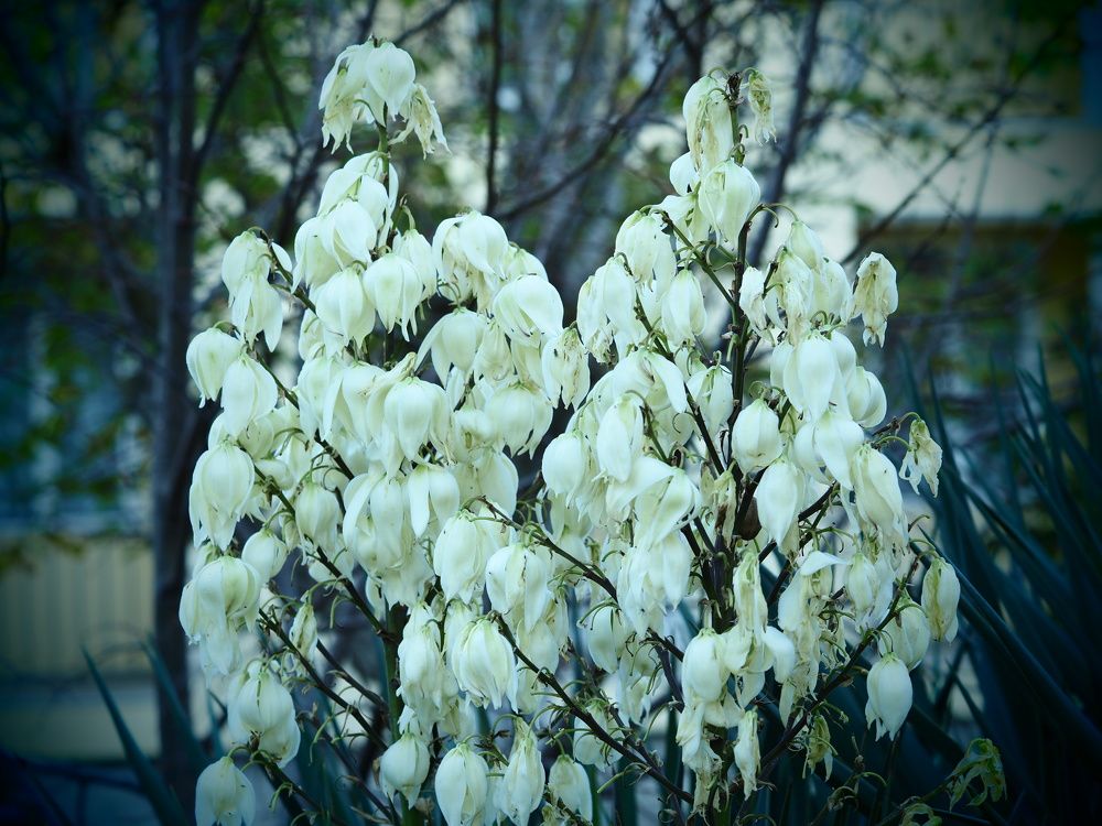 Photograph by Сергей Борисов