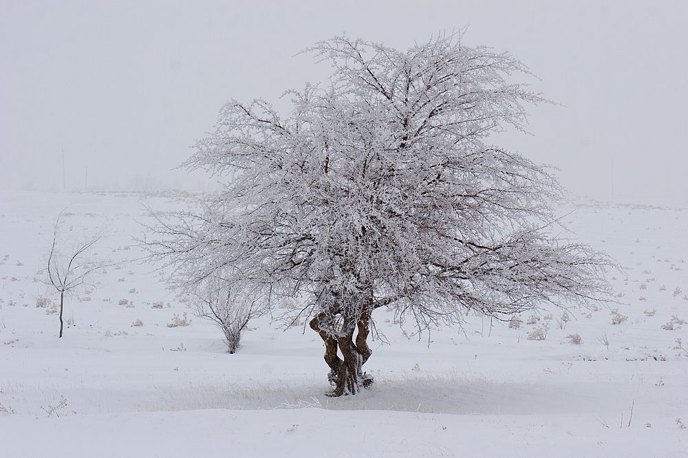 Photograph by Алексей Вяткин