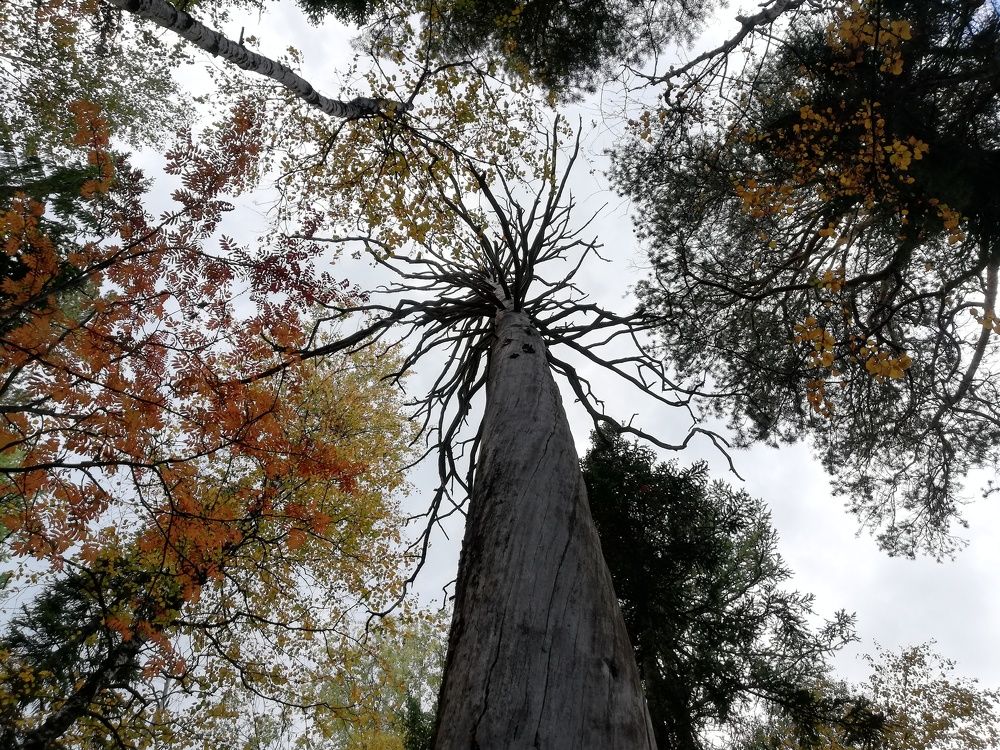 Фотография автора Кристина Киселёва