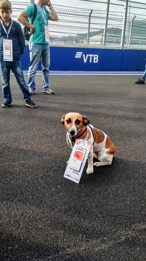 Photograph by Алексей Шевцов