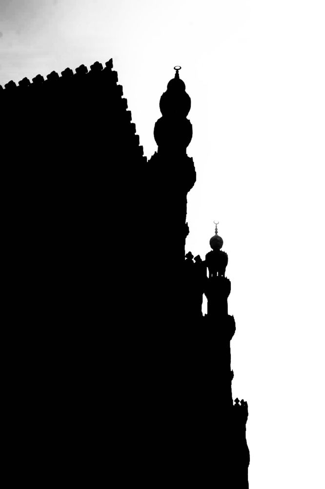 Photograph by sohila abdelaziz