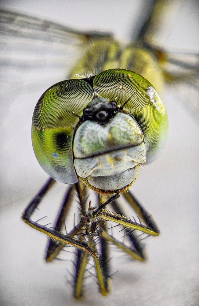 Photograph by Sangesh Kendre