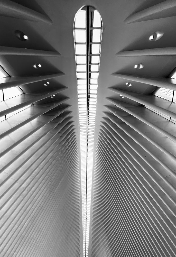 Photograph by Wajdi El zoghbi