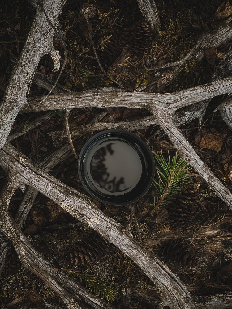 Фотография автора Дарья Кузнецова