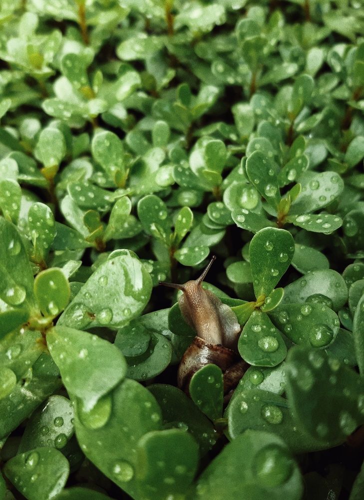 Photograph by Дамир Батряков