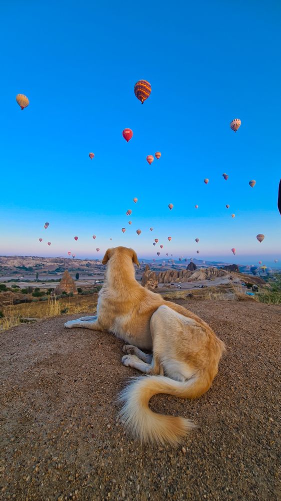Лицезреет красоту Каппадокии