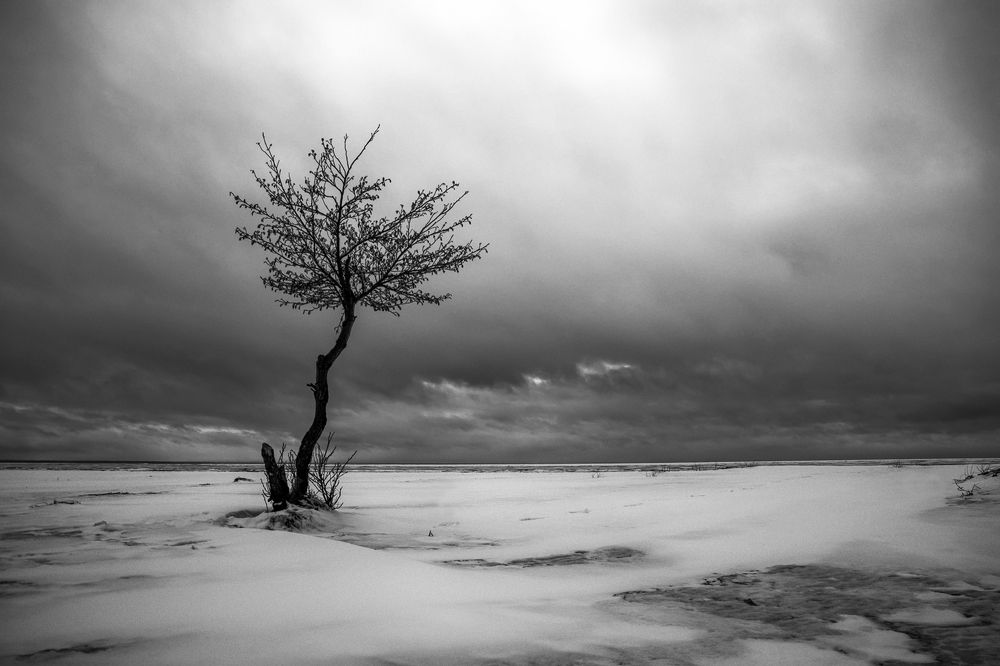 Photograph by Крицак Ольга