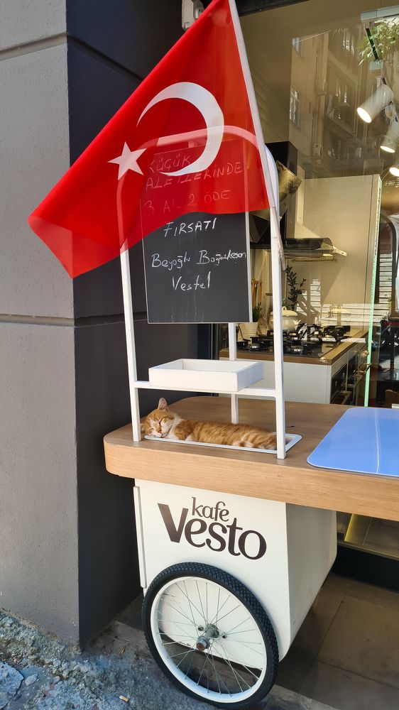 Photograph by Анастасия Прима