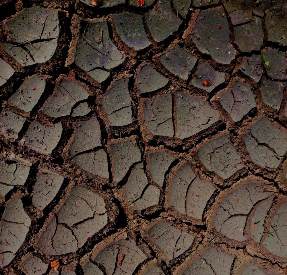 Photograph by Елена Попова