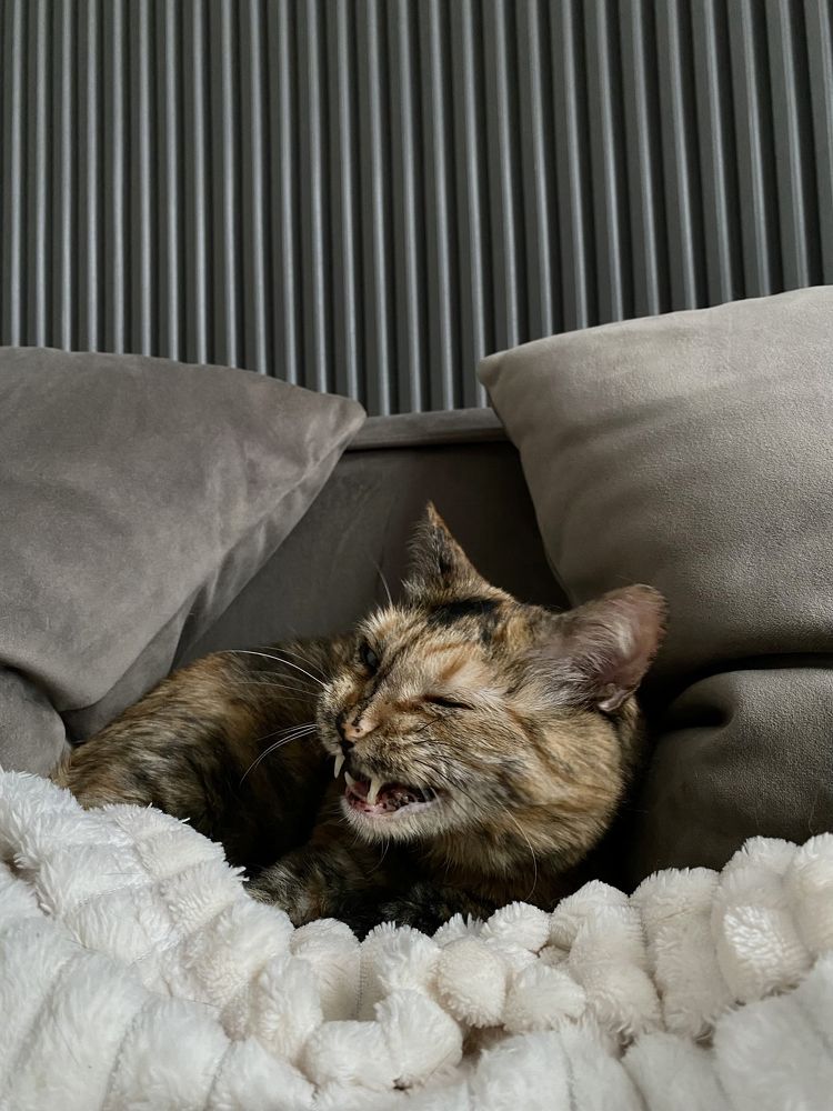 Photograph by Ирина Щербакова