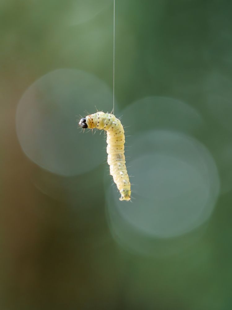 Photograph by Ирина Протченко