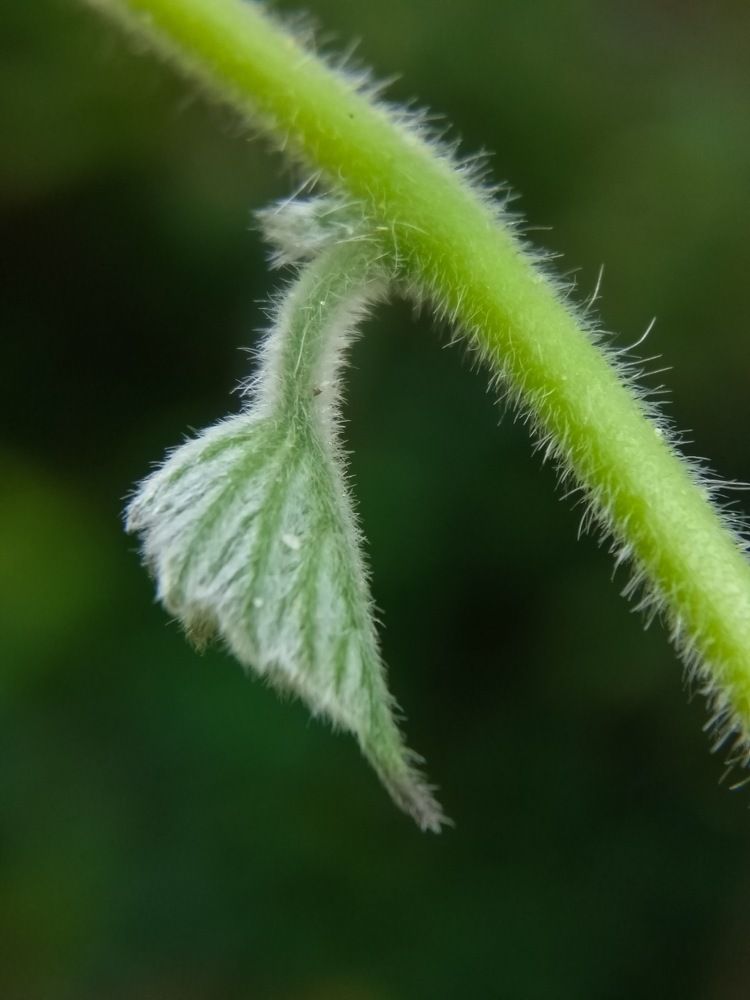 Photograph by Sahan nandika