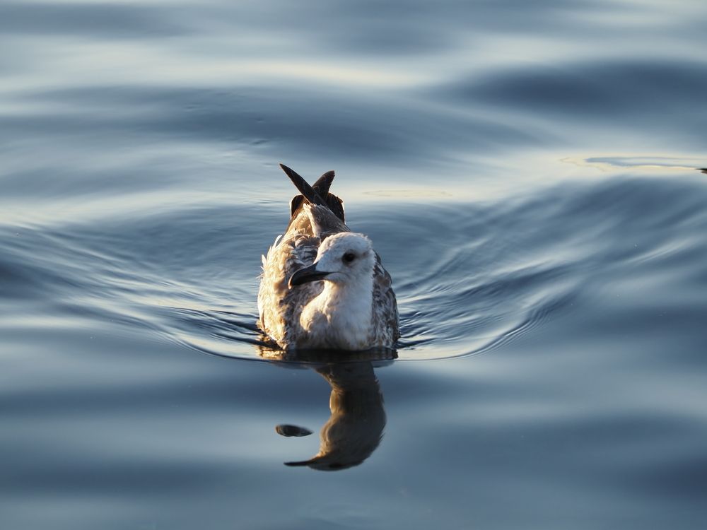 Photograph by Сергей Борисов