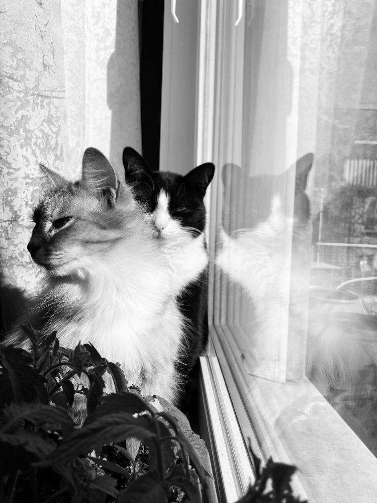 Photograph by Ирина Щербакова