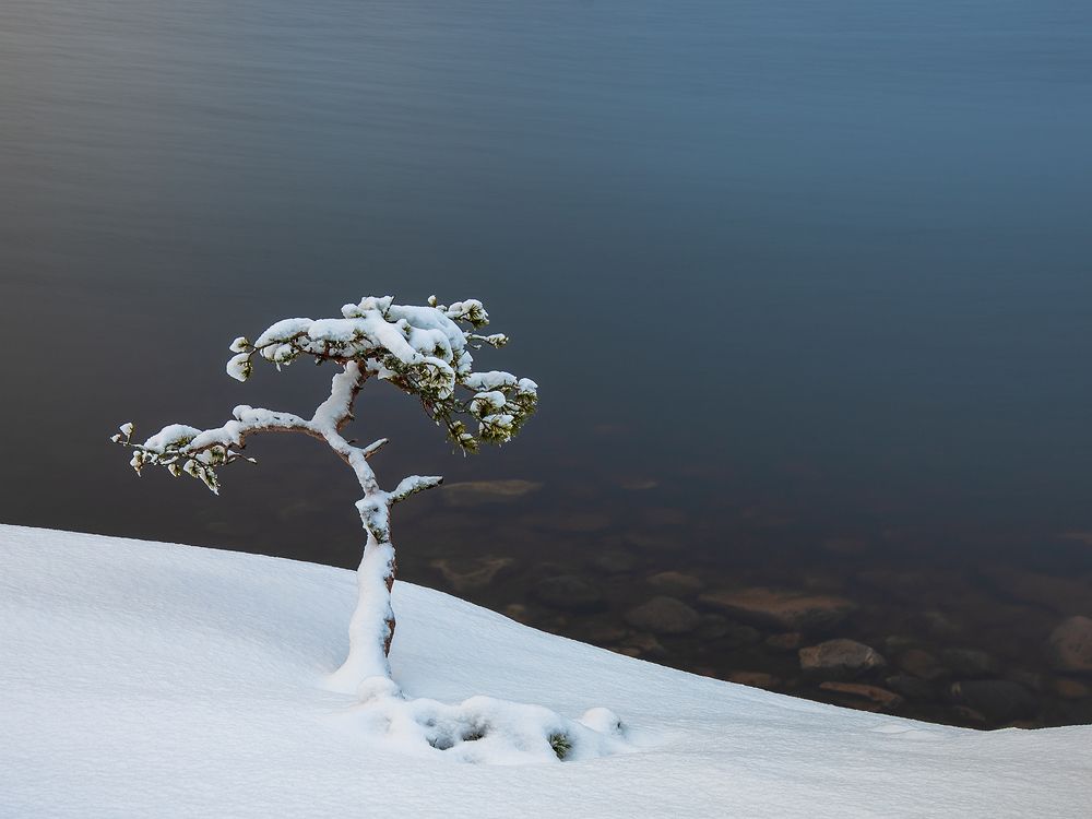 Photograph by Крицак Ольга