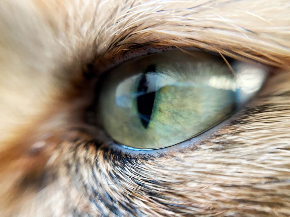 Photograph by Ирина Щербакова